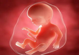 韩国允许对胎儿进行性别鉴定 要不要对胎儿性别鉴定
