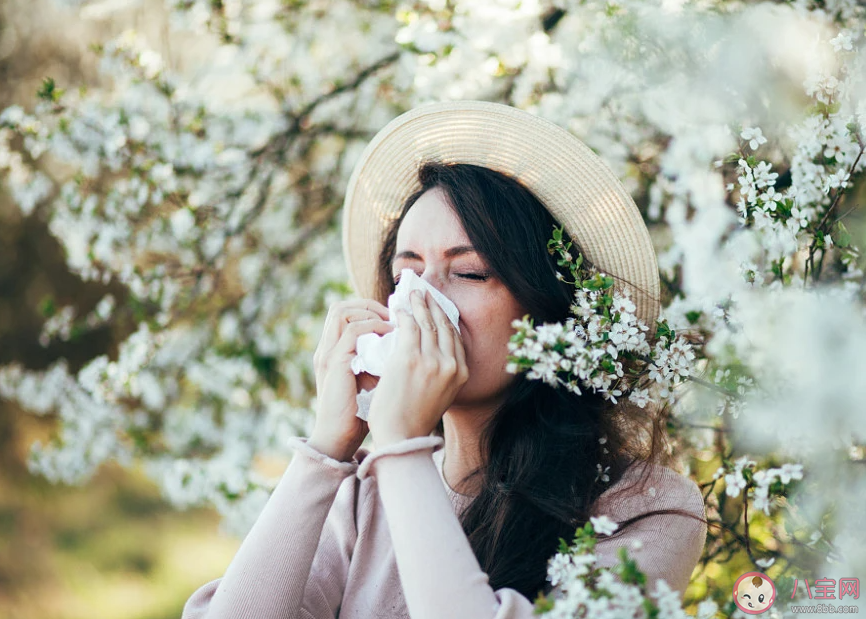 如何辨别花粉过敏和感冒 花粉过敏不要硬扛