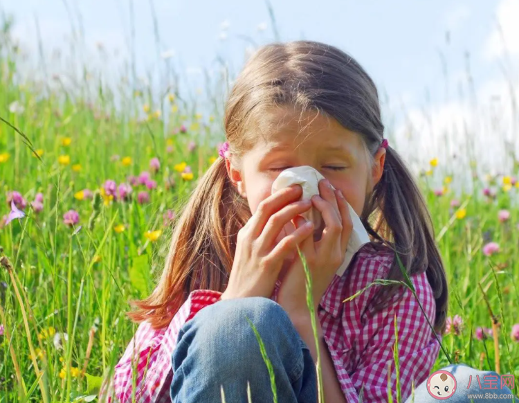 如何辨别花粉过敏和感冒 花粉过敏不要硬扛